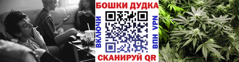 Конопля Amnesia  Валдай 